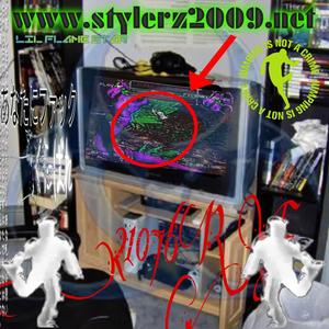 www.stylerz2009.net (Explicit)