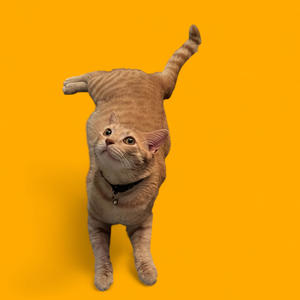 RETRO (feat. vacant champion) (Explicit)