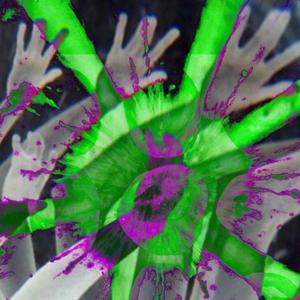 Crooked DMT (feat. HEx) (Explicit)