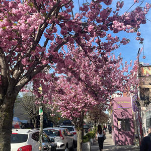 One Time Again (feat. Lalo DiCaprio) (Explicit)