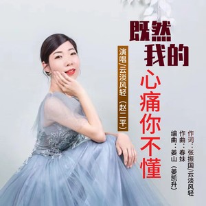 既然我的心痛你不懂 (伴奏)