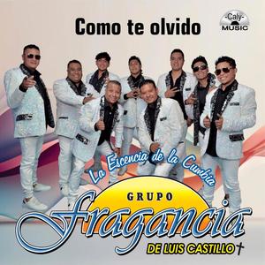 Como te olvidó (Radio Edit)