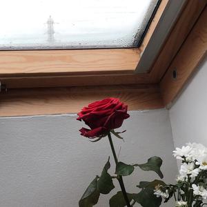 t’aimer sans que t'aies mal