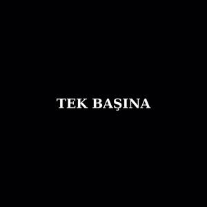 TEK BAŞINA