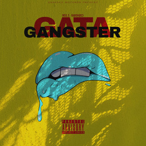 Gata Gangster (Explicit)