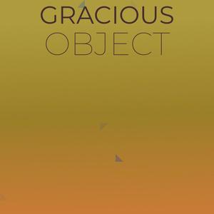 Gracious Object