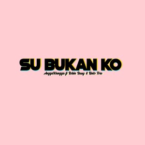 Su Bukan Ko (Explicit)