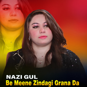 Be Meene Zindagi Grana Da