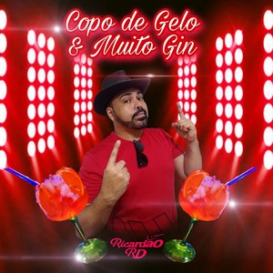 Copo de Gelo e Muito Gin