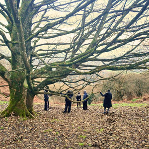 Incredible (feat. Lotus) (Explicit)