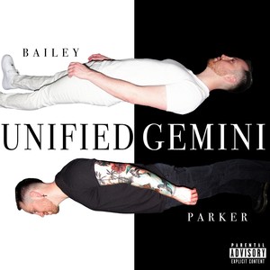 Unified Gemini (Explicit)