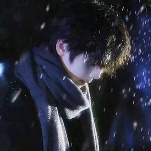 踏雪归封面