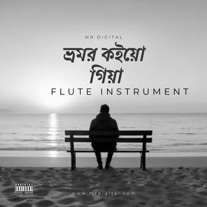 ভ্রমর কইয়ো গিয়া (Flute Instrumental)