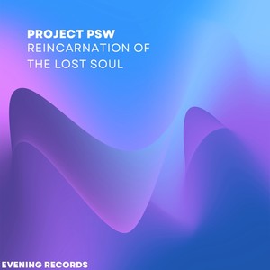 Reincarnation Of The Lost Soul (Radio Edit)