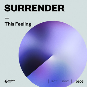 This Feeling (Extended Mix)