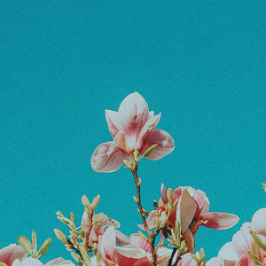 Amy's friend (Special Version)