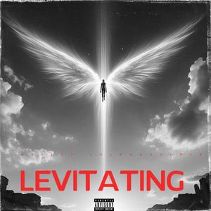 LEVITATING (feat. Cold Shoulder) (Explicit)