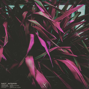 Not Afraid (Extended Mix)