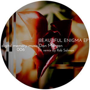 Beautiful Enigma