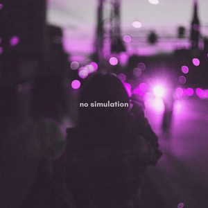 No Simulation