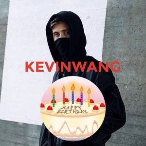 Alan Walker Top5(KEVINWANG Mashup)