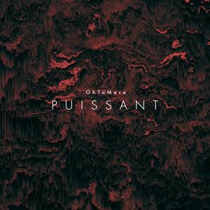 Puissant (Explicit)