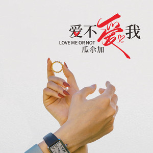 爱不爱我 (伴奏)