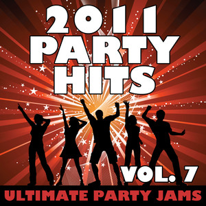 2011 Party Hits Vol. 7