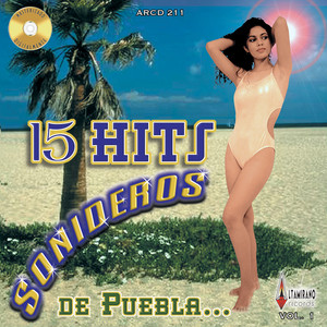 15 Hits Sonideros de Puebla, Vol.1