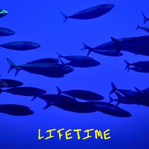 Lifetime