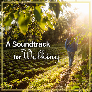 A Soundtrack for Walking: Bach