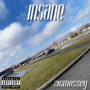 Insane (Explicit)