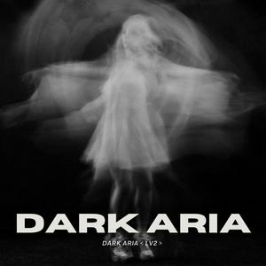 DARK ARIA ＜LV2＞