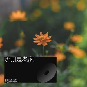 哪凯是老家