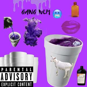 Gang Nem'(feat. Karp, Dopebaby Tay & Members Only Smoove) (Explicit)