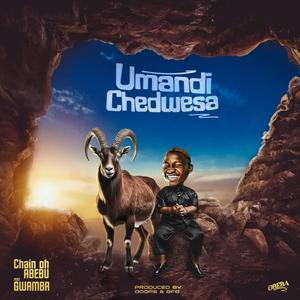 Umandichedwetsa (feat. Gwamba)