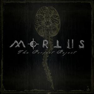 Closer to the End (Attacke Remix|Explicit)