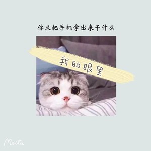 银河与星斗