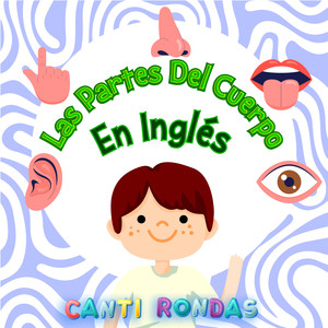 Las Partes Del Cuerpo En Inglés