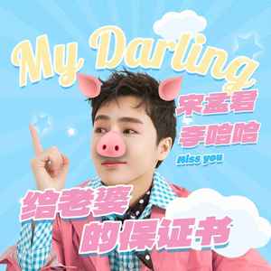 给老婆的保证书 (Remix)