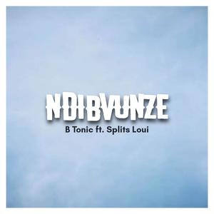 Ndibvunze (feat. Splits Loui)