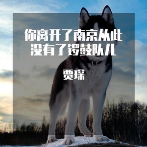 你离开了南京从此没有了锣鼓队儿