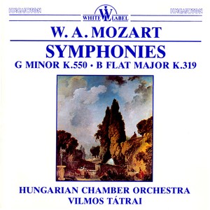 Symphony No. 40 in G Minor, K. 550 - I. Molto allegro (g小调40号交响曲(K.550)：第一乐章 很快的快板)