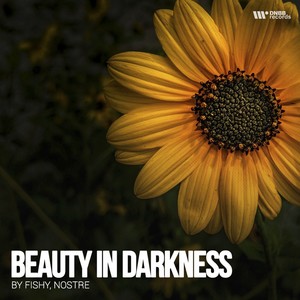 Beauty Darkness