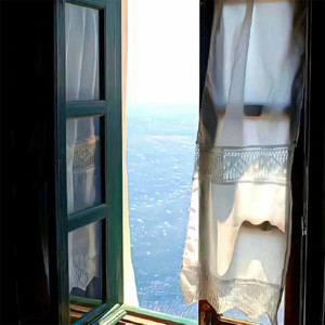 与我无关-思想是颗迂腐的树