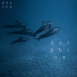 Dolphins