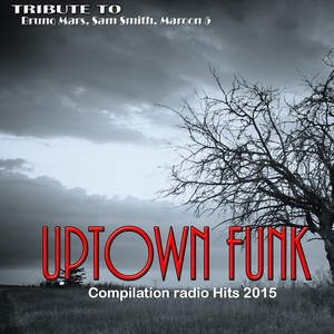 Uptown Funk: Tribute to Bruno Mars, Sam Smith, Maroon 5 (Compilation Radio Hits 2015)