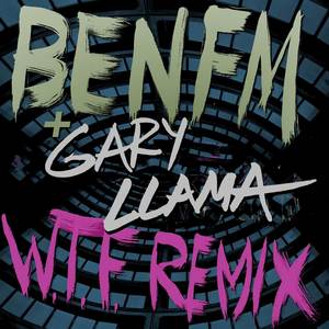W.T.F. (Gary Llama Remix|Explicit)