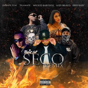 SECO (feat. Telamate, Wicked Babydoll, Alex Bravo & ERRE BABY) [Remix] [Explicit]