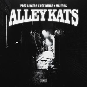 Alley Kats (Explicit)